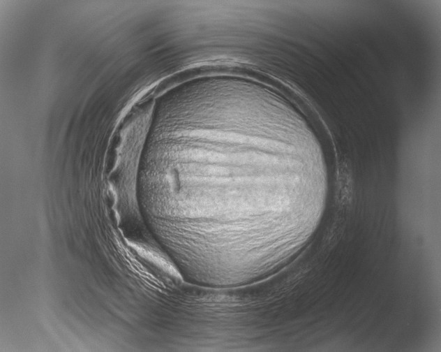 X0000085060783200703261204