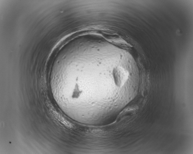 X0000085060784200703261203