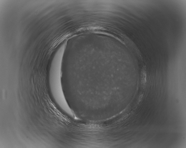 X0000085060785200703261203