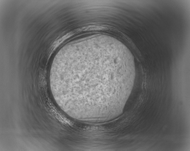 X0000085060786200703261203