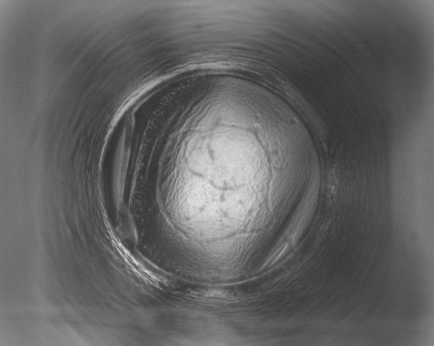 X0000085060787200703261203