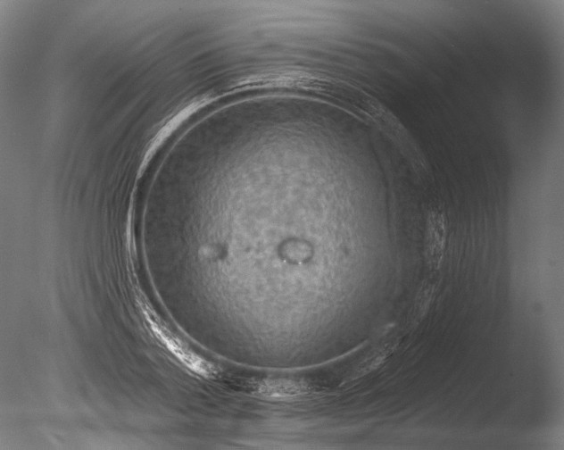 X0000085060788200703261203