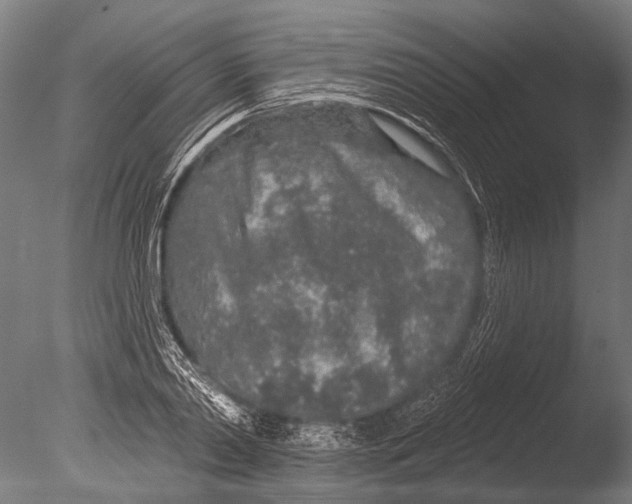 X0000085060790200703261203