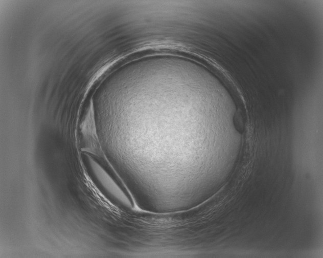 X0000085060791200703261203