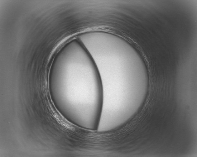 X0000085060792200703261203