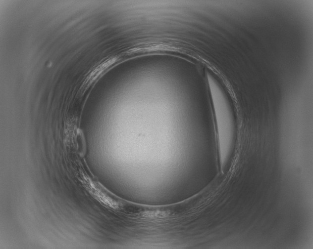 X0000085060793200703261203