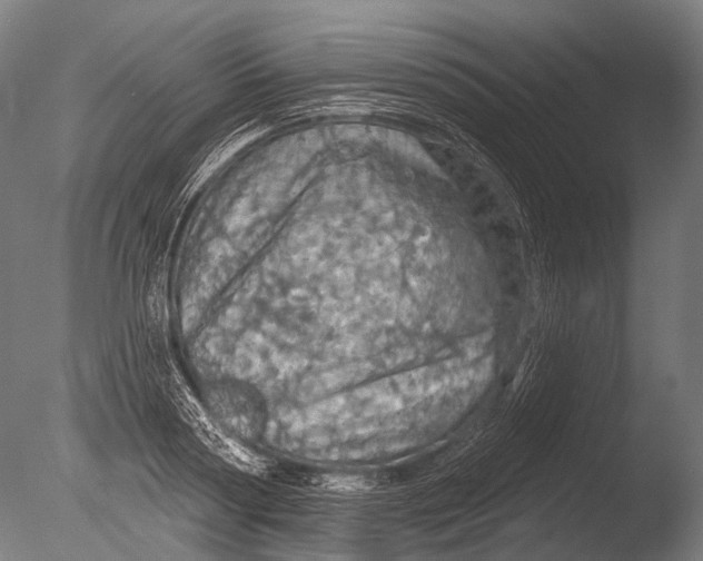 X0000085060794200703261203