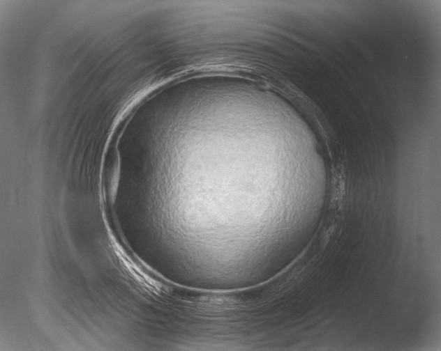 X0000085060795200703261203