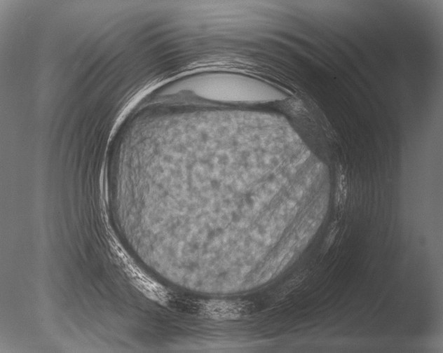 X0000085060796200703261203