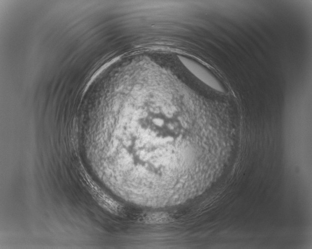 X0000085060798200703261203