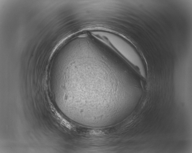 X0000085060799200703261203