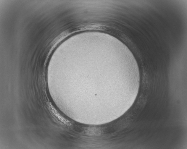 X0000085060800200703261203