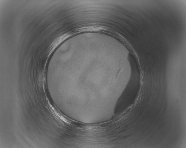 X0000085060802200703261203