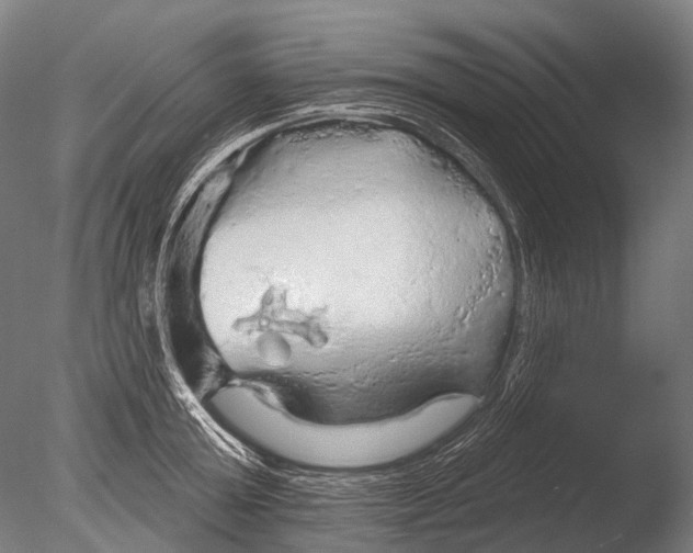 X0000085060803200703261203