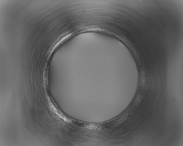 X0000085060806200703261203