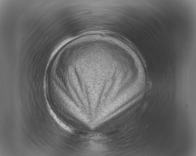 X0000085060811200703261203