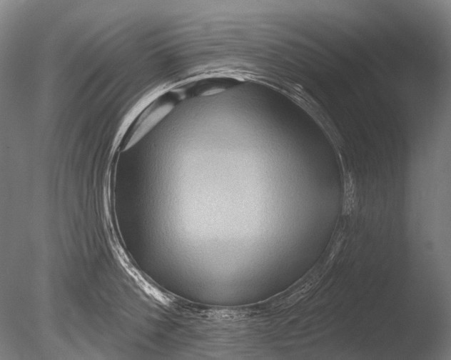 X0000085060812200703261203