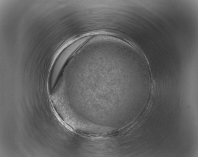 X0000085060813200703261203