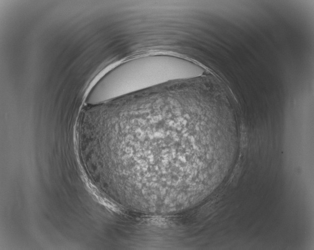 X0000085060814200703261203