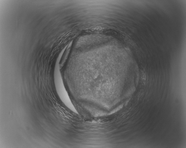 X0000085060818200703261202