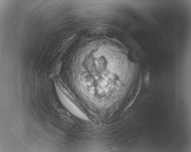 X0000085060819200703261202