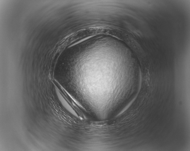 X0000085060821200703261202