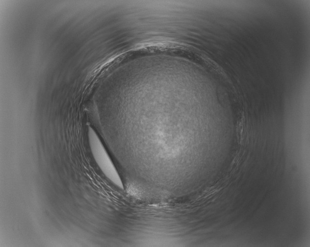 X0000085060822200703261202