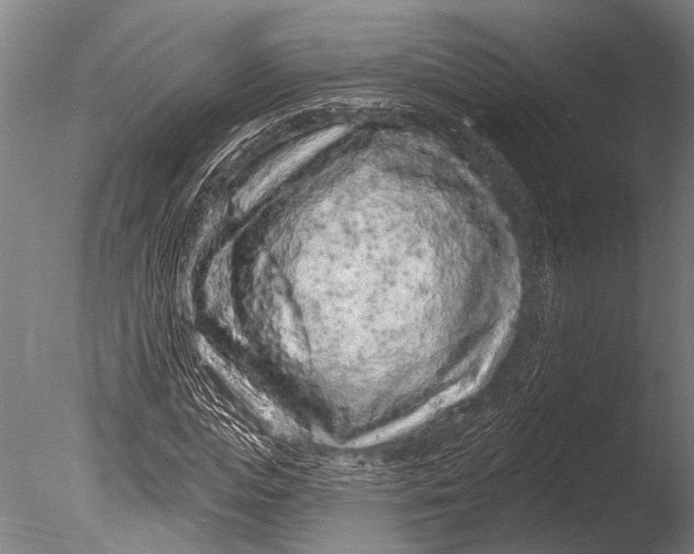 X0000085060823200703261202