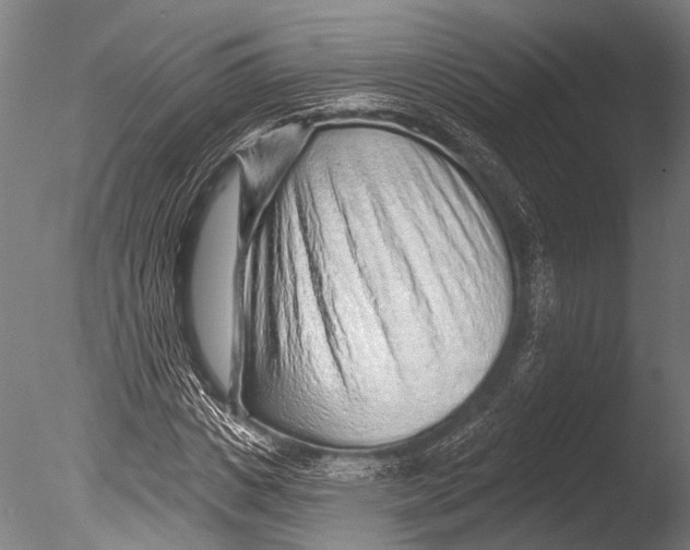 X0000085060825200703261202