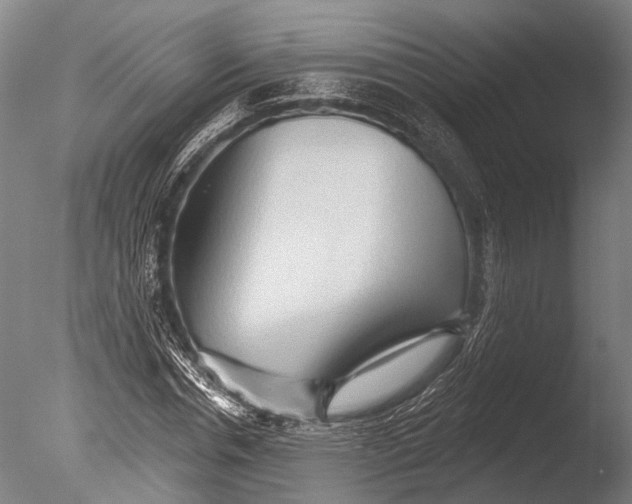 X0000085060826200703261202