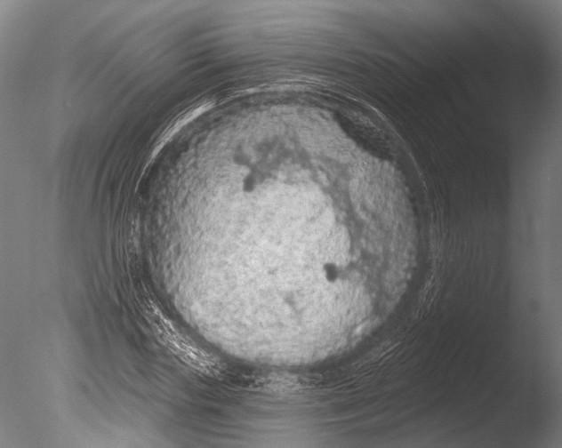 X0000085060827200703261202