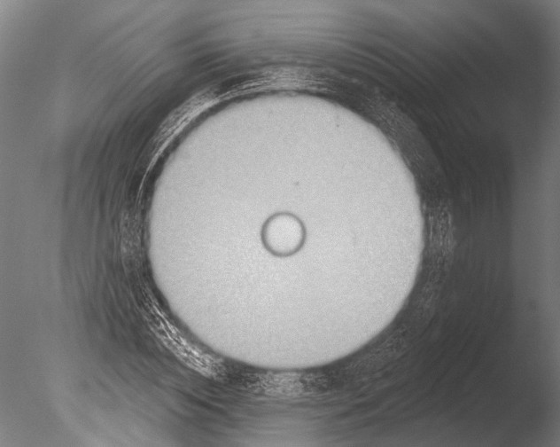 X0000085060828200703261202