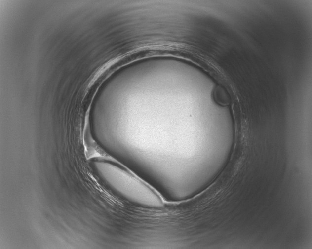 X0000085060829200703261202