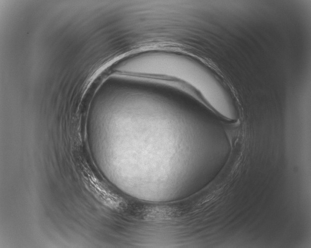 X0000085060830200703261202