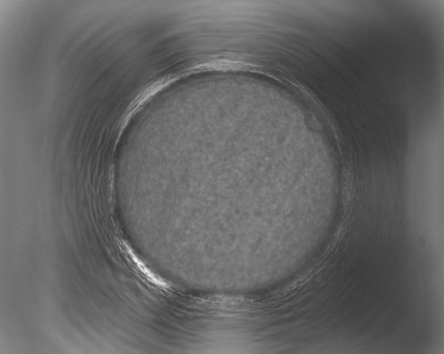 X0000085060831200703261202