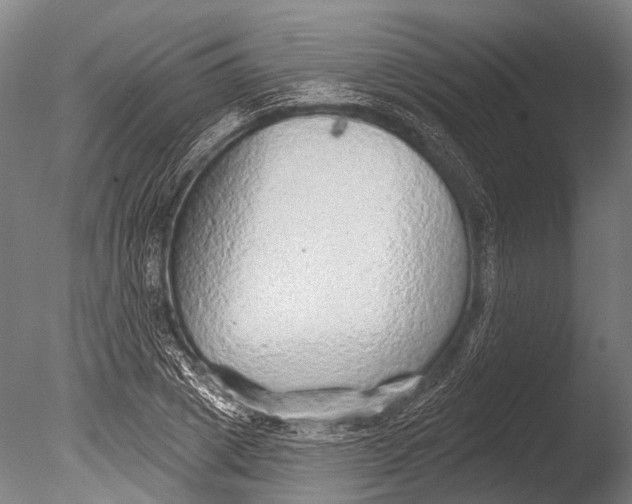 X0000085060833200703261202