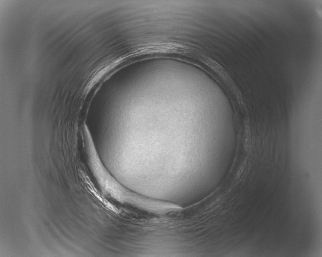 X0000085060834200703261202