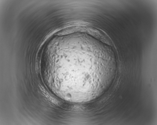 X0000085060835200703261202