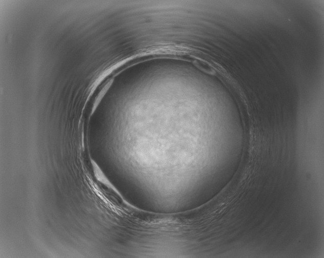 X0000085060838200703261202