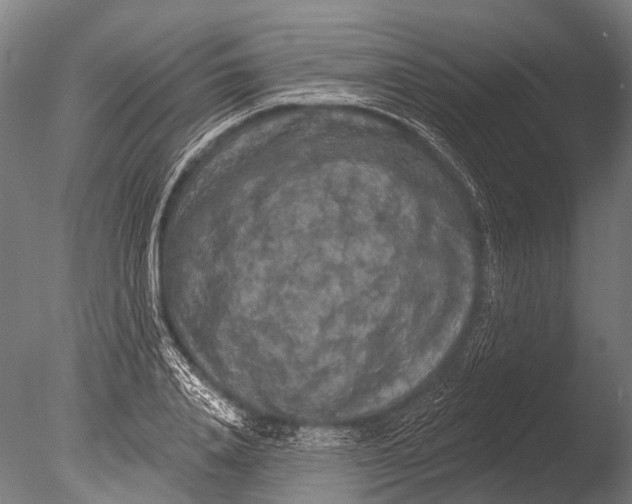 X0000085060840200703261202