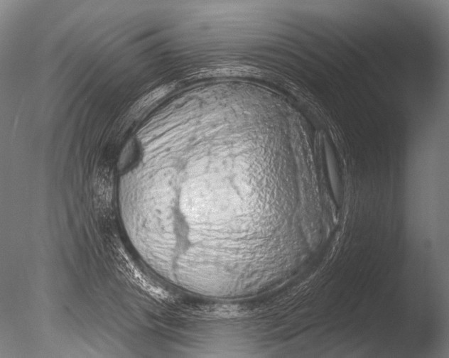 X0000085060841200703261203