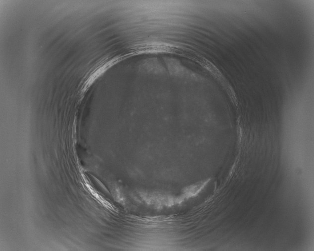 X0000085060842200703261203