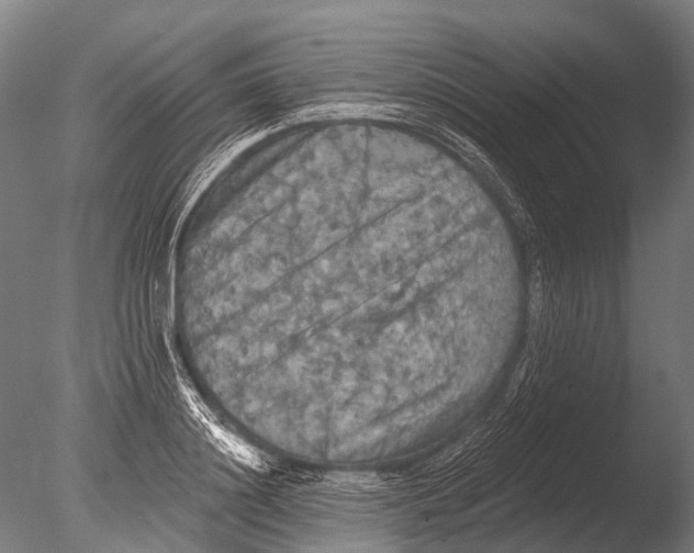 X0000085060844200703261203