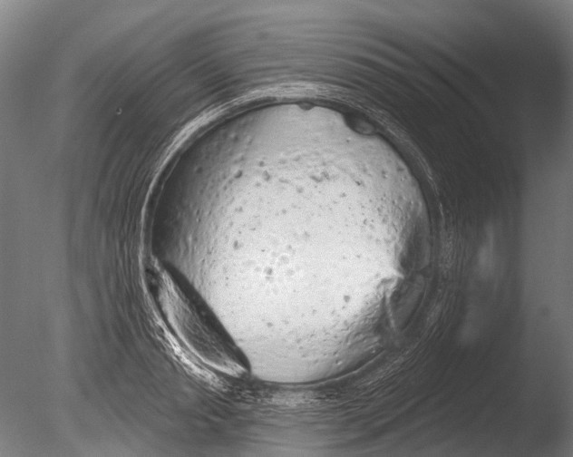 X0000085060845200703261203