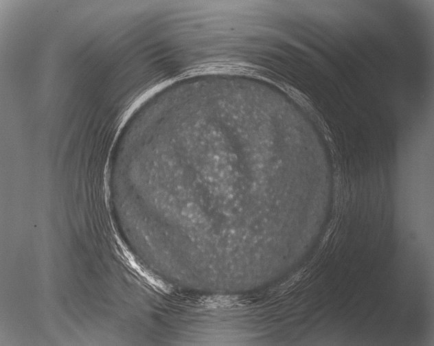 X0000085060846200703261203