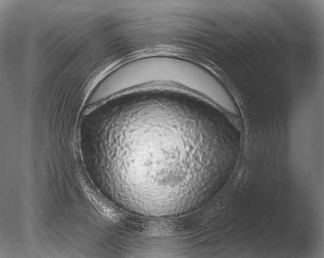 X0000085060850200703261203