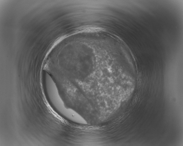 X0000085060851200703261203