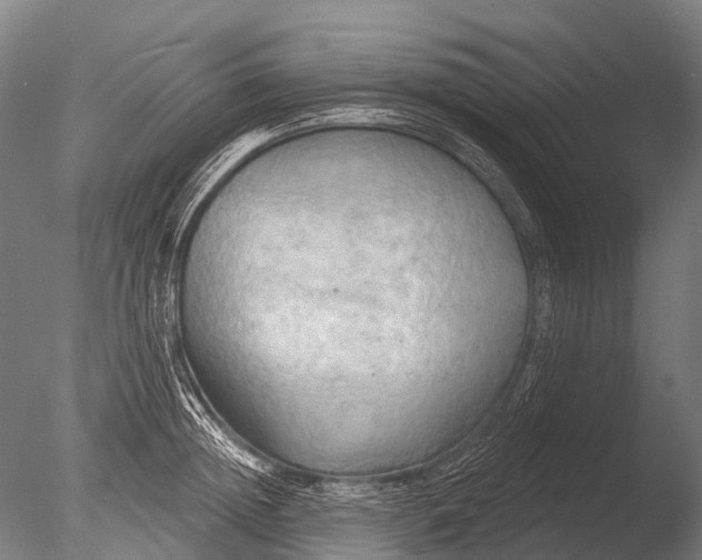 X0000085060852200703261203