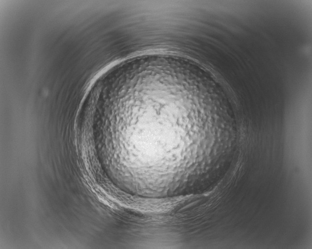 X0000085060854200703261203