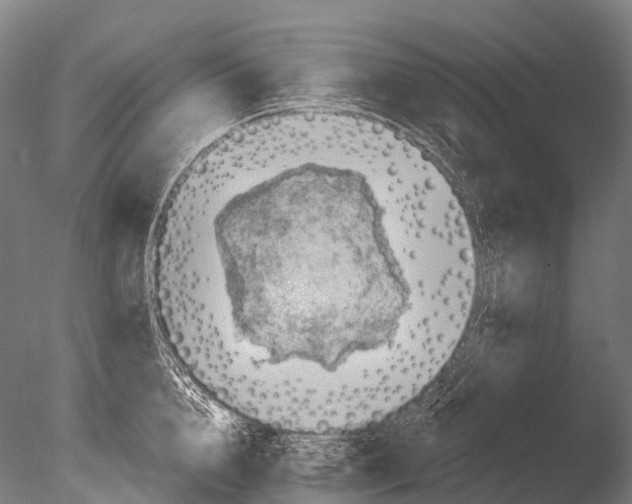 X0000085060856200703261203